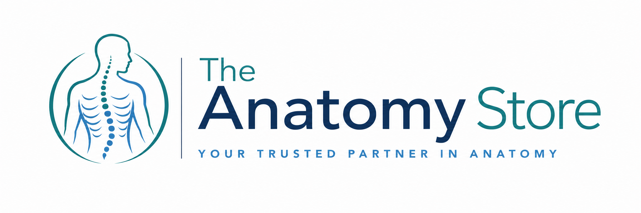 The Anatomy Store - Your Trusted Partner in Anatomy